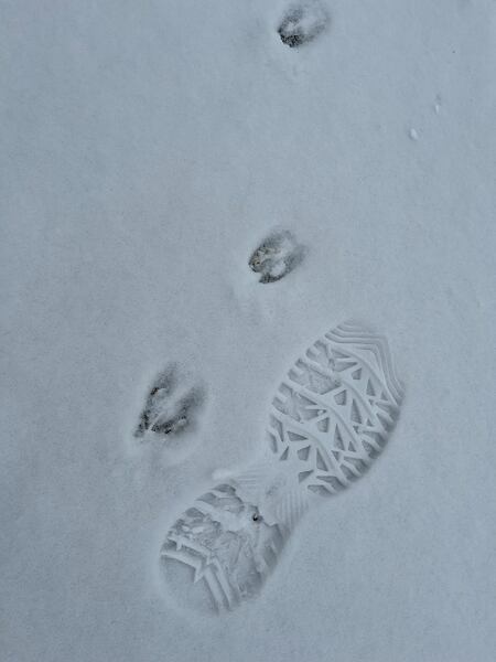 KEEN GRETA BOOT II WP női téli cipő - hóban